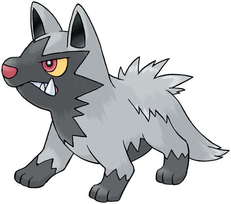 Poochyena Pokédex .